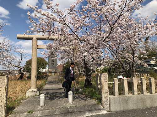 和泉店の前にある忠魂碑と桜