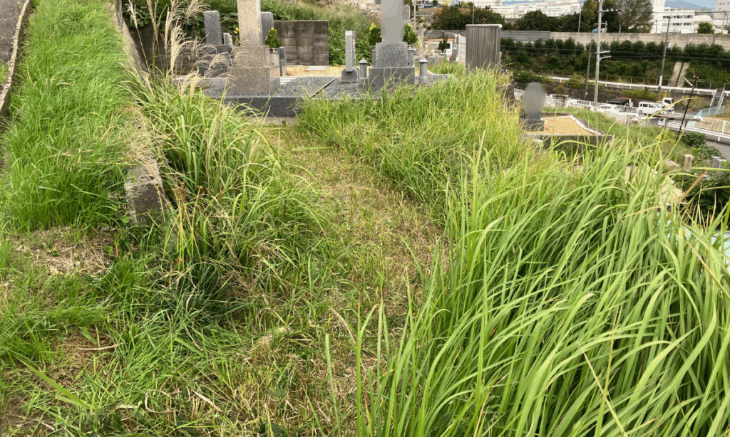 円明町墓地（柏原市 ）お墓じまい