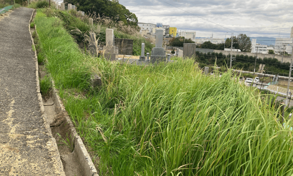 円明町墓地（柏原市 ）お墓じまい