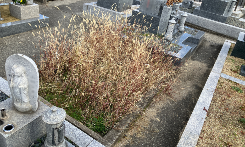 北宮門徒共同墓地(羽曳野市)墓地の清掃